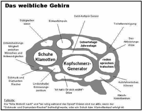 GEHIRN_weiblich