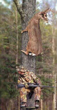 Hirschjagd