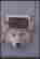 alex-in-cat-door-tight-44