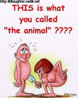 animal