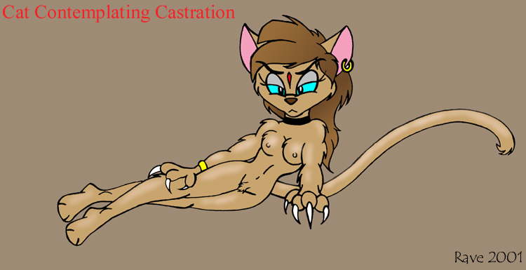 catcast7
