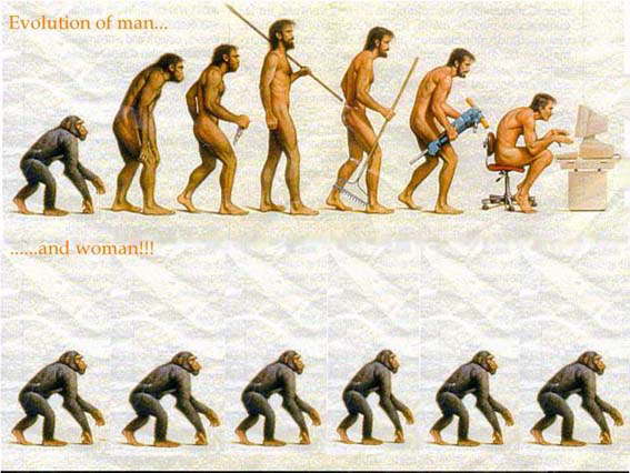 evolution_mensch