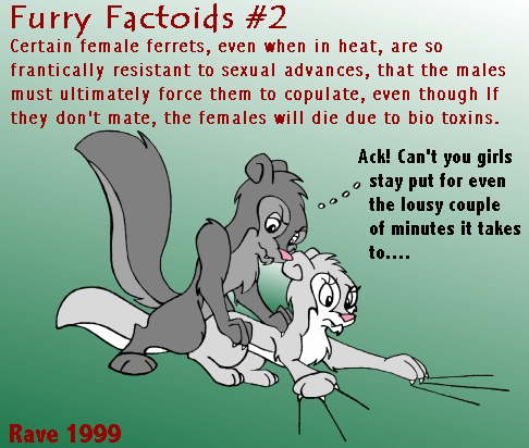 ferret5