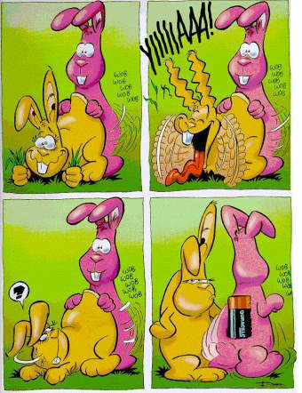 hasen