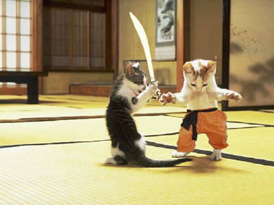katzen