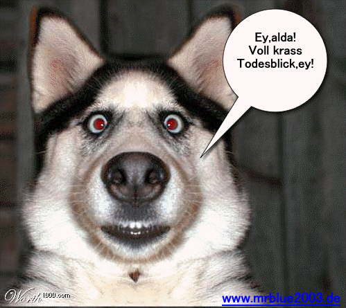 schreck