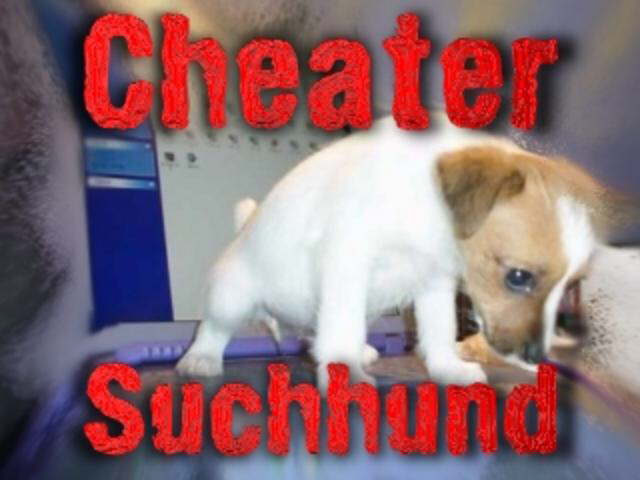 suchhund